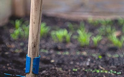 Bodenverdichtungen aufbrechen