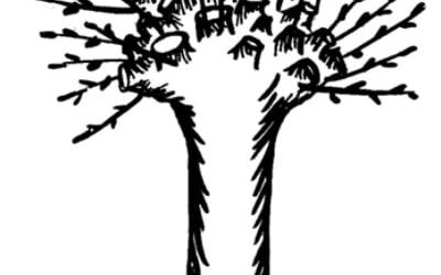 Kugel-Robinie schneiden