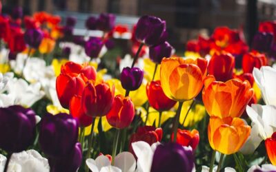 Auf Kontraste achten