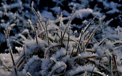 Rasen betreten verboten