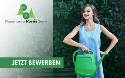 Wir suchen Verstärkung!