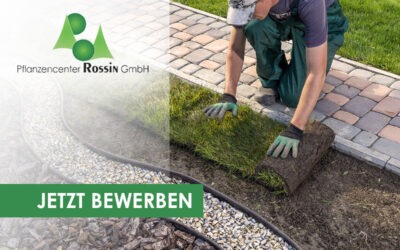 Wir suchen Verstärkung