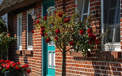 Automatisch gespeicherter Entwurf