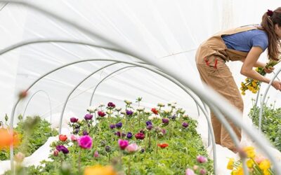 Auf die Haltung kommt es an